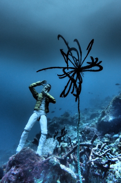 あきボーウミシダ-P81705152017