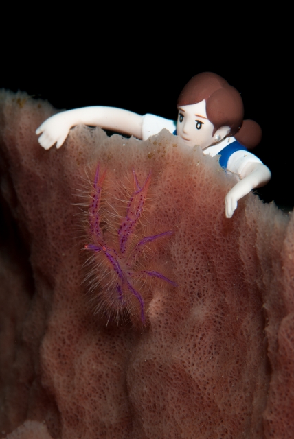 まんだりんフチ子ちゃん-DSC_03622015